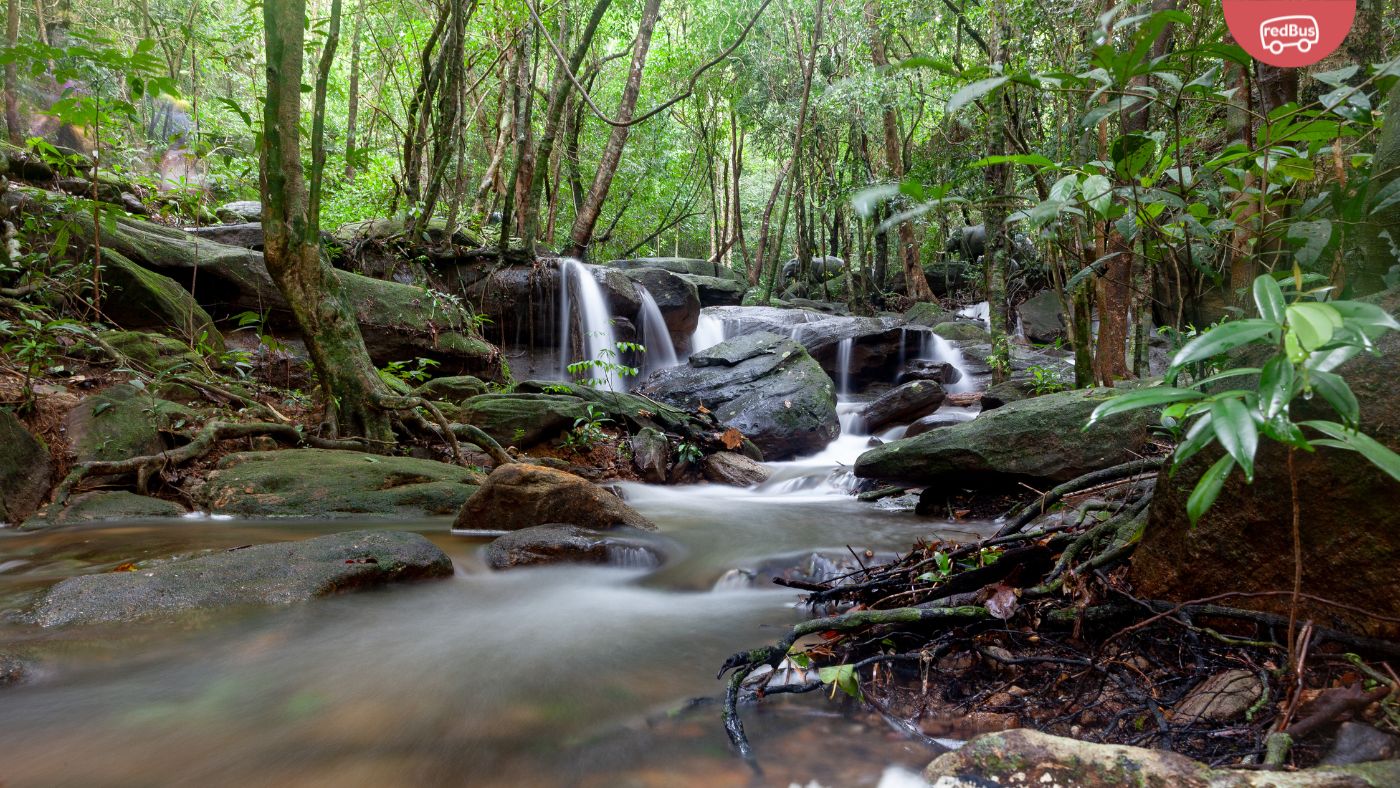 Your Ultimate Guide to the Enchanting Phu Quoc National Park