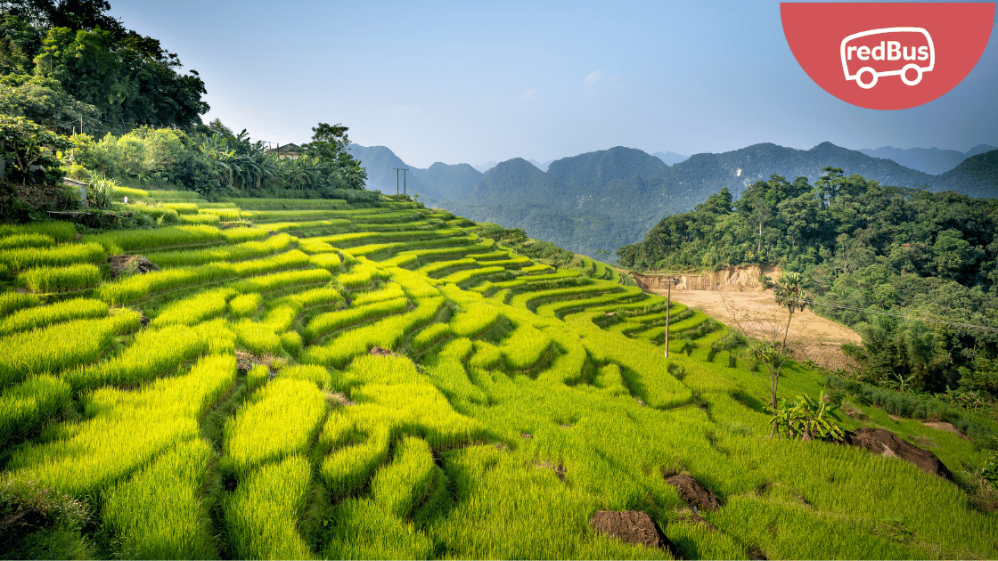 Buses to Thanh Hoa: Local food & good bus services reviews