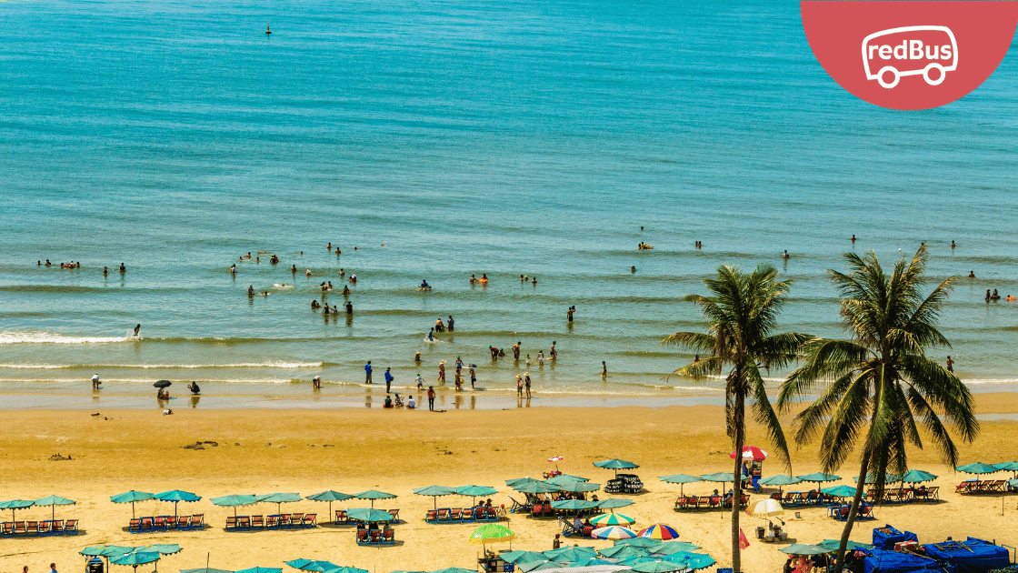 Xe Phương Trang Cần Thơ đi Vũng Tàu: lịch trình & giảm giá vé 30%