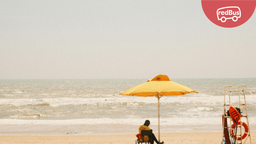 vé xe sinh viên giá rẻ đi phan thiết
