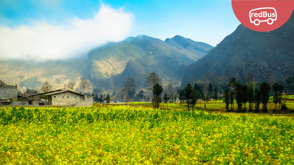 Hanoi to Ha Giang
